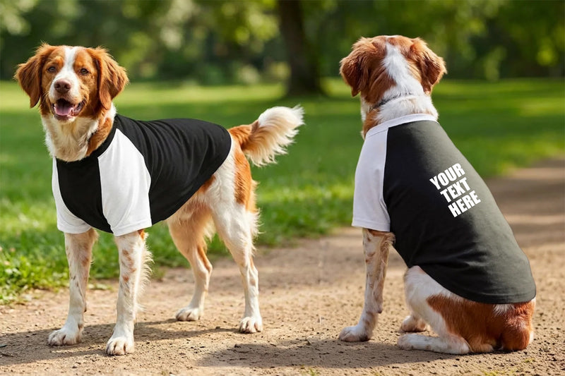 Personalised Dog’s Raglan T-Shirt - Portman and Pooch