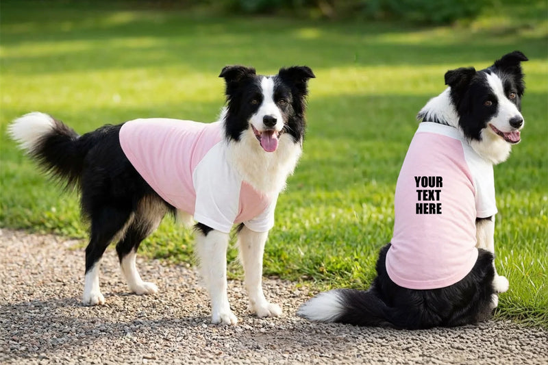 Personalised Dog’s Raglan T-Shirt - Portman and Pooch
