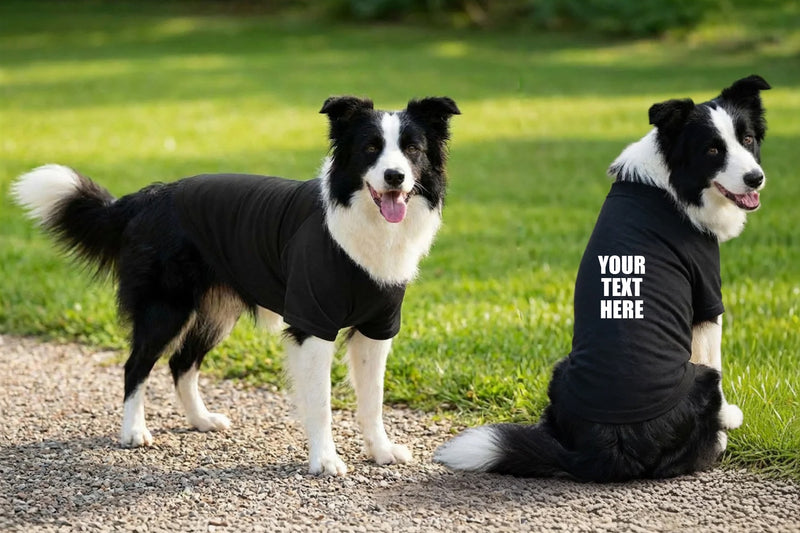 Personalised Dog’s Raglan T-Shirt - Portman and Pooch