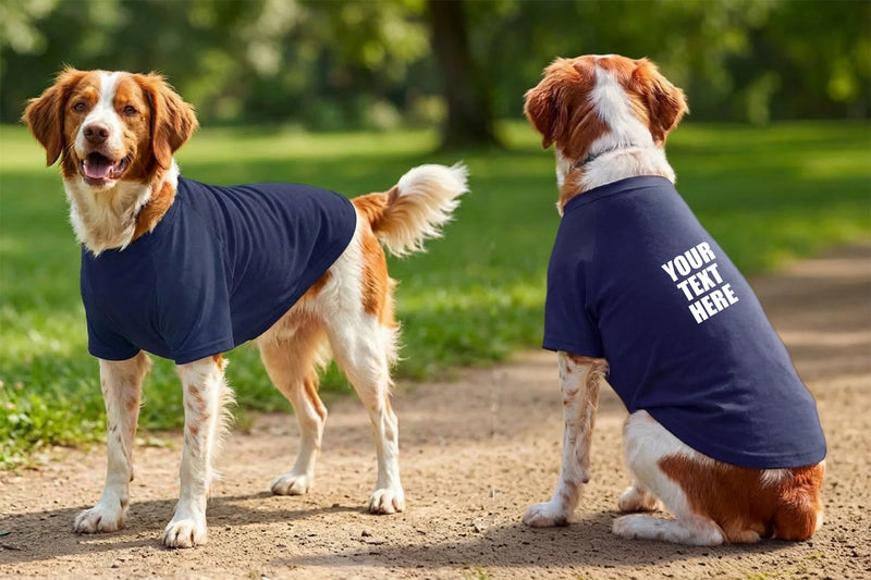 Personalised Dog’s Raglan T-Shirt - Portman and Pooch