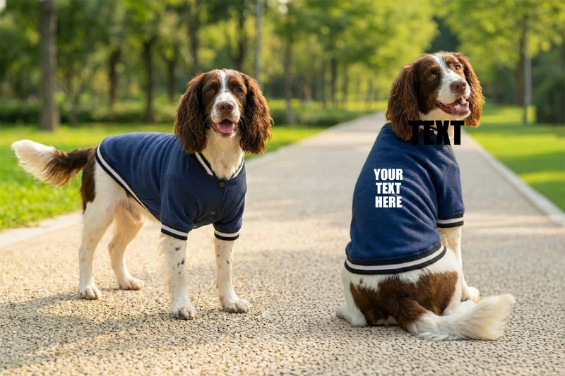 Personalised Dog’s Varsity Jacket - Portman and Pooch